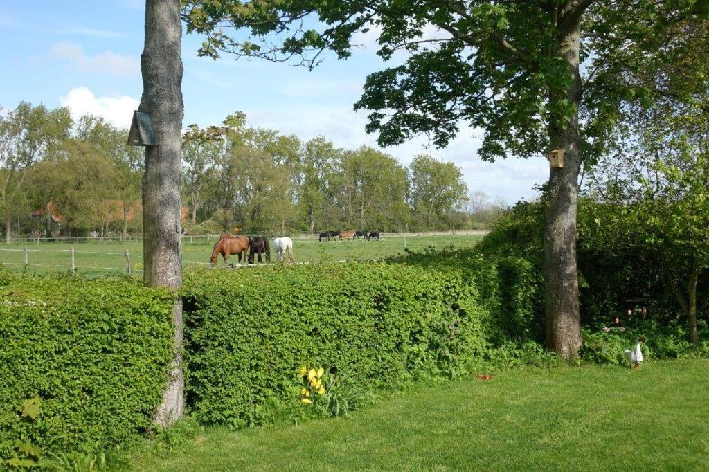 Bed & Breakfast Neeltje Oostkapelle